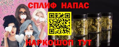 СК Заводоуковск